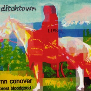 Ditchtown