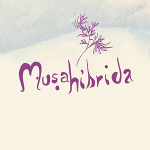 Felicidade Clandestina