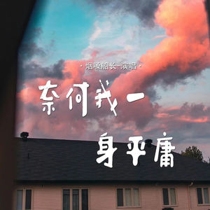 奈何我一身平庸