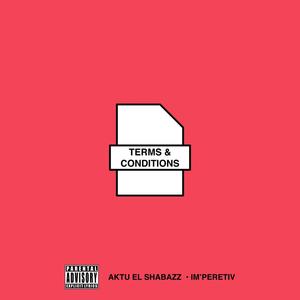 Terms & Conditions (Instrumental Version)