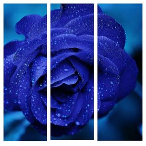 You Vsked (feat. Chopper Manhattan) (Explicit)