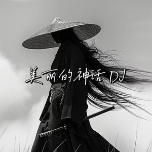 DJ龟龟 - 伯虎说 (DJ龟龟 remix)