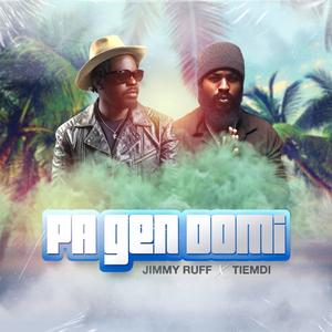Pa gen domi (feat. Tiemdi) (Explicit)
