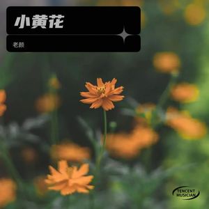 钢琴曲41节 (Demo)