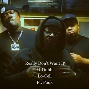 Really Don't Want It (feat. Pook) (Explicit)