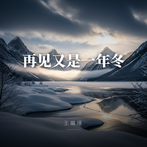 再见又是一年冬