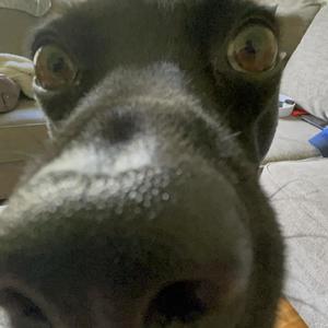 TIKI LAND 2 (Explicit)