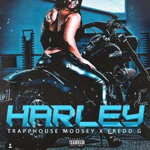 Harley (Explicit)
