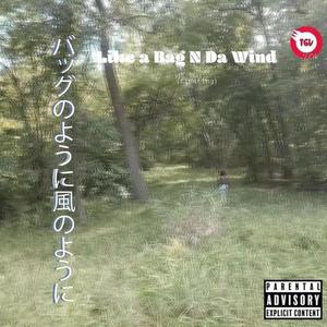 Like A Bag N Da Wind (Explicit)