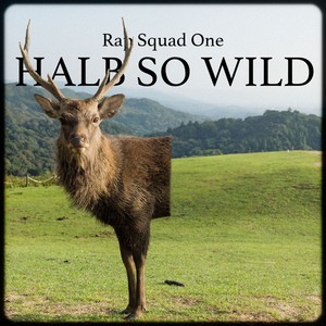 Halb so wild (Explicit)