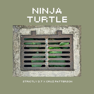 Ninja Turtle (Explicit)