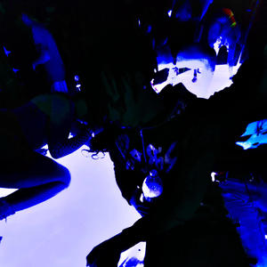MOLLYIROCK (feat. Molly Rockz) (Explicit)