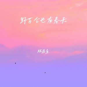 林遇鱼 - 野百合也有春天 (伴奏)