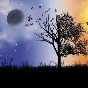 Different side (Explicit)