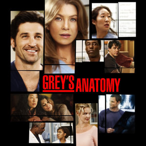 Grey's Anatomy (Original Soundtrack) (《实习医生格蕾第一季》电视剧原声带)