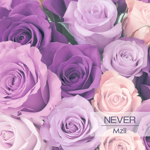 Never (Extended Mix)