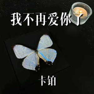 我不再爱你了