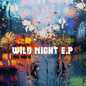 Wild @ Night (Main Mix)