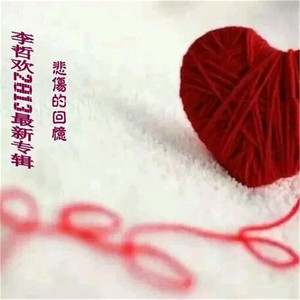 李哲欢 (十二年)