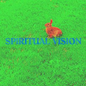 Spiritual Vision