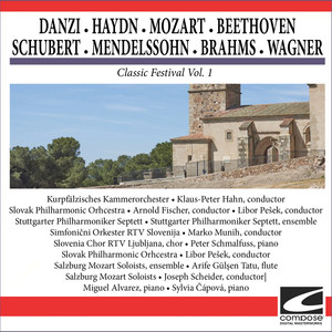 Danzi - Symphony in D minor Op. 24 - Allegro vivo