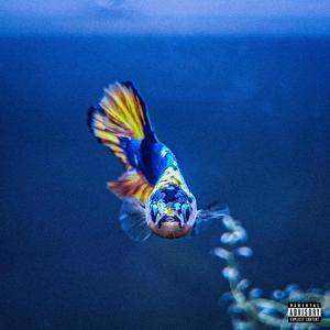 TOO MANY RAPPERS (feat. Thiago Frazier, Tobi the Prodigy, malikthesheik, KOLLECTOR TZU, YUNG OC OTAKU, BLK/LUV, JUNE!, Young Wabo, Josh the Author, Danny Whacko, LANDO, JAi CHROMATIC, Va'Drequie & Feedbackotw) (Explicit)