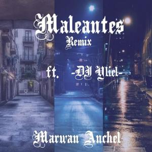 Maleantes (DJ Yliel Remix)