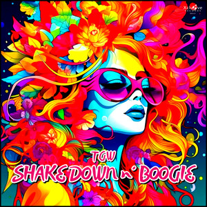 Shake Down n´ Boogie (Original Mix)