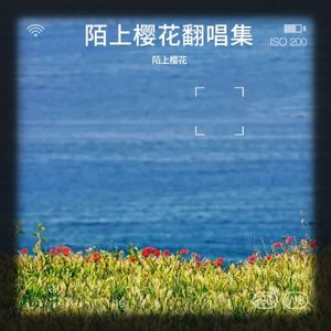 Shall We Talk-陌上樱花