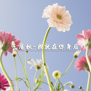 我以为是一夜孤舟