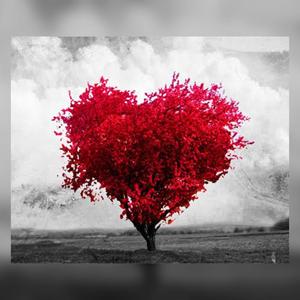 MTG (HAJA AMOR) (feat. Dj Brenin Da Pl)