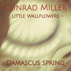 Little Wallflowers: Damascus Spring