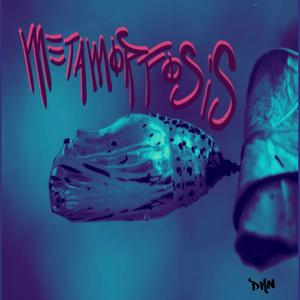 METAMORFOSIS (Explicit)