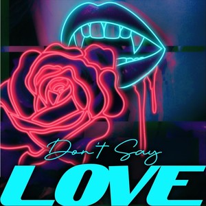 Don't Say Love
