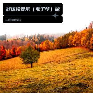 小小新娘花纯音乐