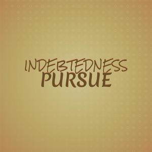 Indebtedness Pursue