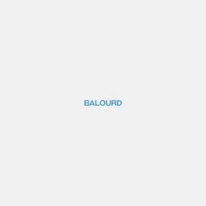 Balourd