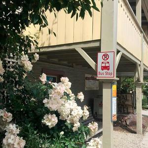 Monotonía(feat. Edukiid)