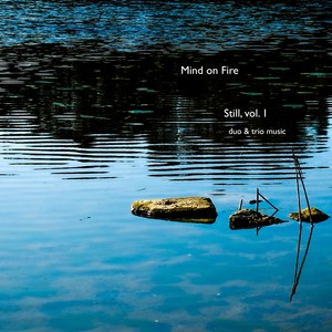 Still, Vol. 1: Duo & Trio Music