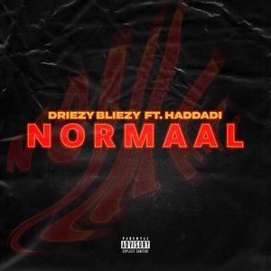 Normaal (feat. HADDADI) [Explicit]