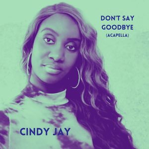 Don't Say Goodbye (Remix|Acapella)