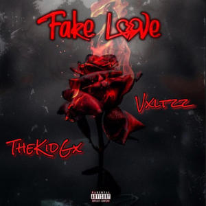 Fake Love (feat. Vxltzz) [Explicit]