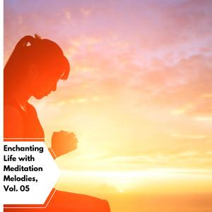 Enchanting Life With Meditation Melodies, Vol. 05