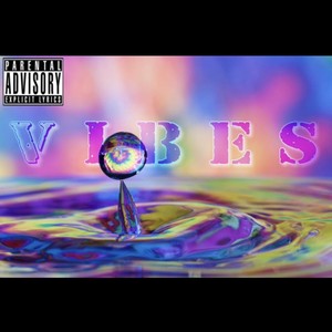 Vibes (feat. VL Budd) [Explicit]