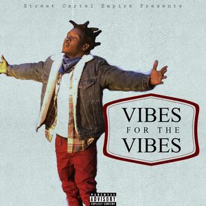 Vibes For The Vibes (Explicit)