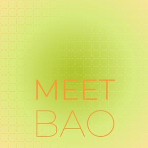 Meet Bao