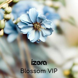 Blossom (VIP)