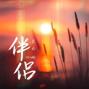 伴侣 (Live)