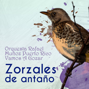 Zorzales de Antaño… Vamos A Gozar