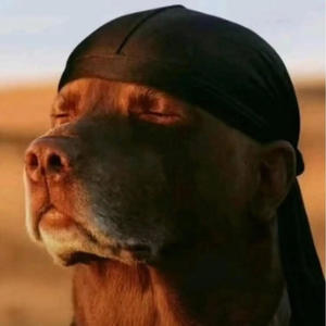 krizzygokrazy (feat. Rimagna) (Speed Up)